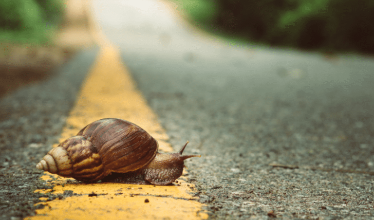 Communication Trends 2022