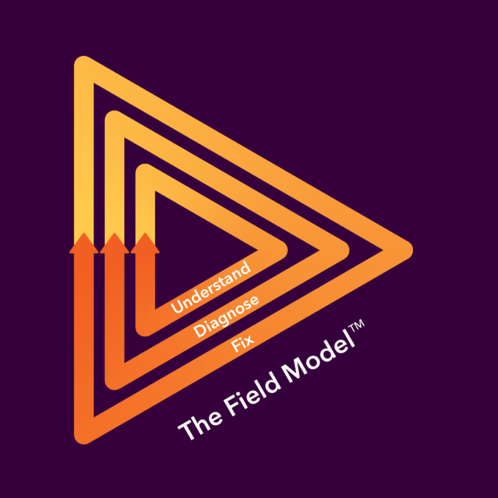 The-Field-Model.png