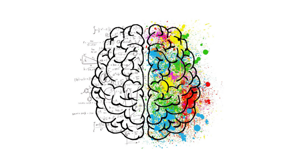 Neurodiverse brain