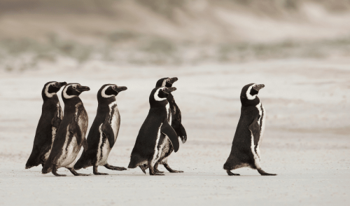 Why we need to focus on employee alignment